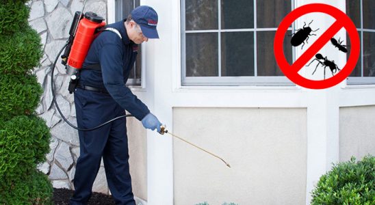 Düziçi Böcek İlaçlama böcek ilaçlama ve haşere kontrolü — ilaclama-tr.com